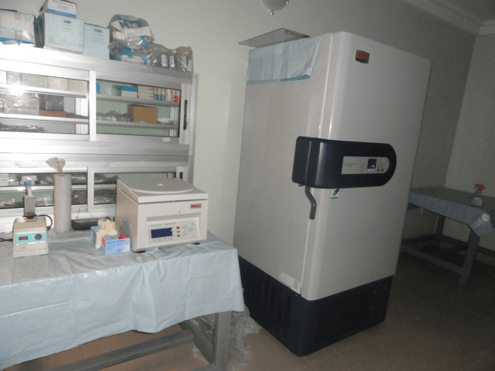 Stem Cell Therapy
